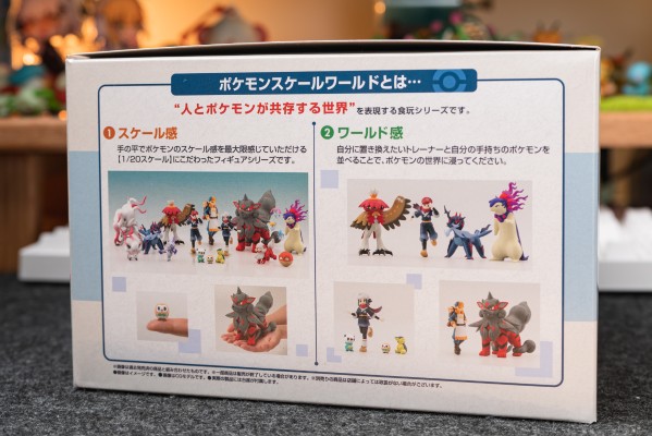 宝可梦比例世界 洗翠地区套装