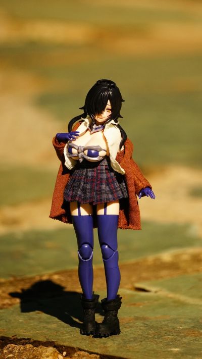 宝可梦模型 快快拼系列！！ 04 伊布