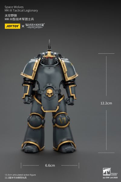 战锤:荷鲁斯之乱 太空野狼 MK III型战术军团士兵