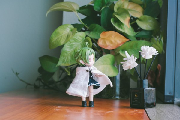 粘土人#1787 无职转生～到了异世界就拿出真本事～ 希露菲叶特·格雷拉特