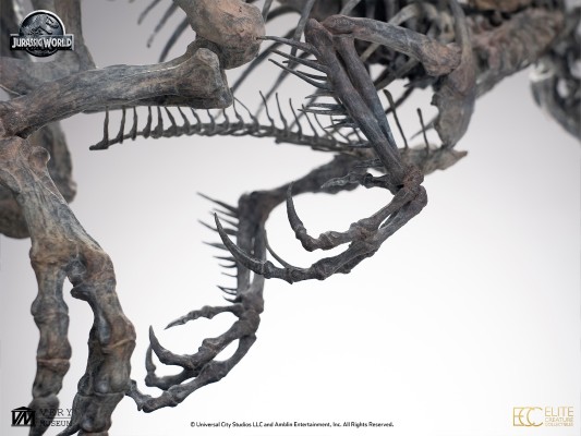 暴虐霸王龙骨架 青铜模型 1/12比例