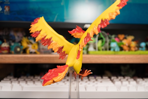 宝可梦比例世界 关都地区 急冻鸟+闪电鸟+火焰鸟