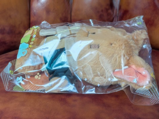 电影 GIVEN:去海边 毛绒绒玩偶 佐藤真冬