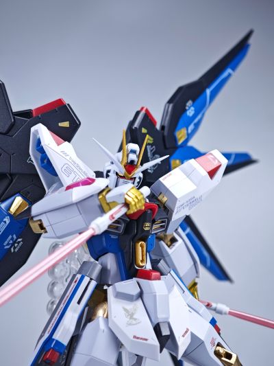 METAL ROBOT魂 ＜机动战士系列＞ 强袭自由高达 [Re:Coordinate]