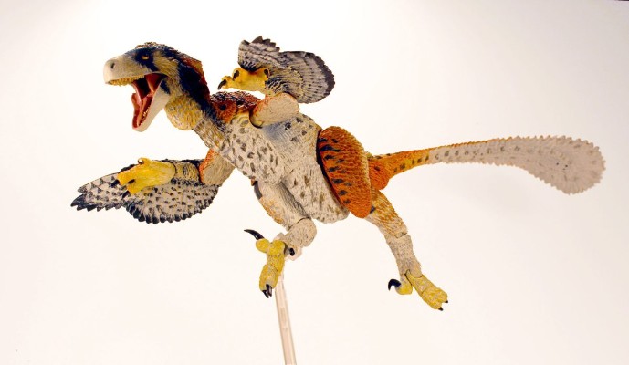 艾伯塔驰龙（粉丝选择）– 1/6可动玩偶（第二批）