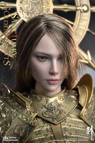 剑乱风云 圣殿黄金守卫/白银守卫