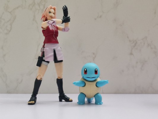 布鲁可积木人  宝可梦经典版S 开拓的新遇