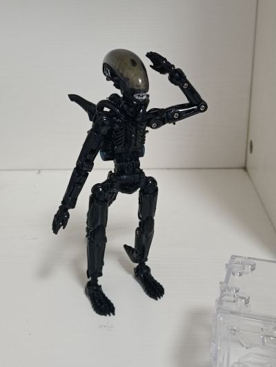 52TOYS 猛兽匣 IB13 异形