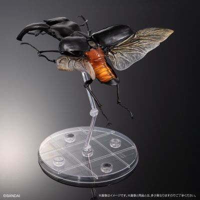 生物大图鉴Premium 巨颚叉角锹形虫（黑色）