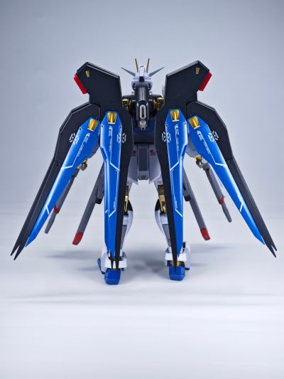 METAL ROBOT魂 ＜机动战士系列＞ 强袭自由高达 [Re:Coordinate]