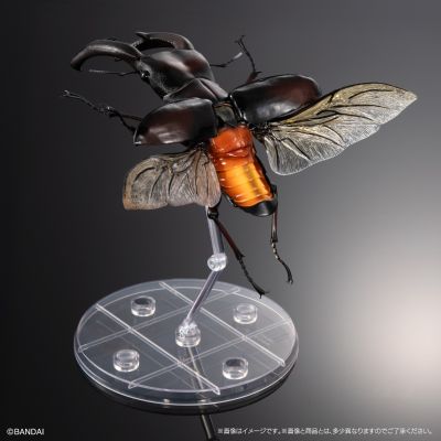 生物大图鉴Premium 巨颚叉角锹形虫（红色）