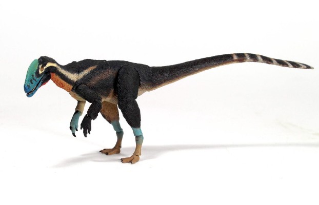 五彩冠龙 – 1/18可动玩偶