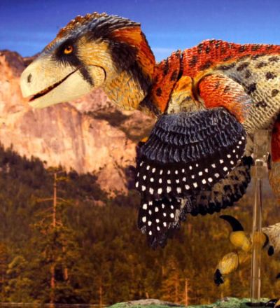 艾伯塔驰龙（粉丝选择）– 1/6可动玩偶（第二批）