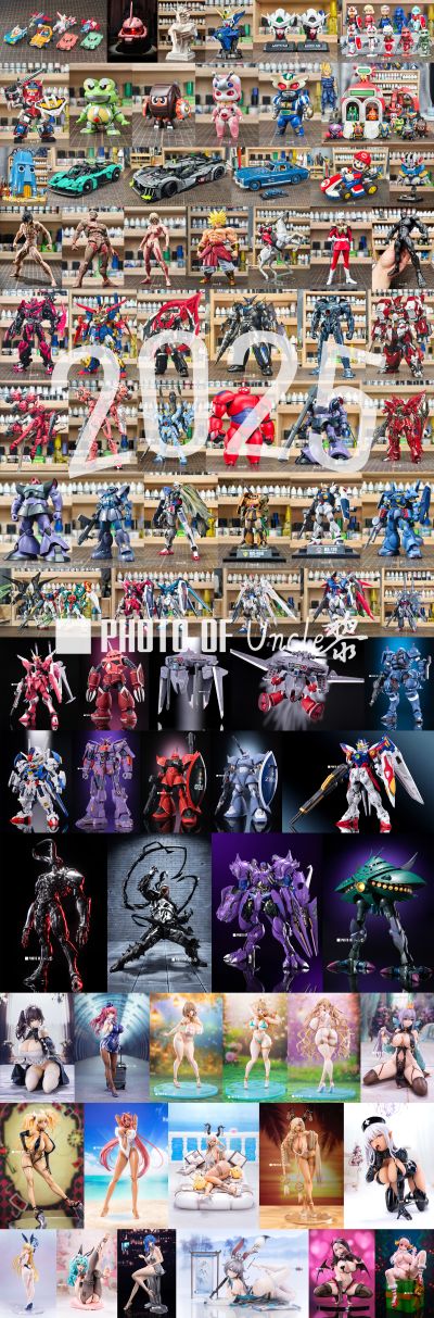 HG  1/144 无限正义高达二式