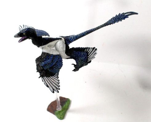 东方2件装- 顾氏小盗龙和鹰嘴单爪龙- 1/6可动玩偶