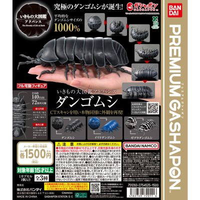 生物大图鉴 鼠妇