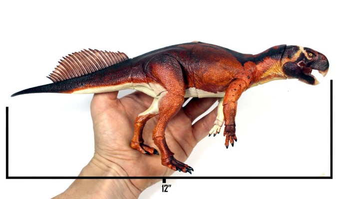 蒙古鹦鹉嘴龙 1/6可动玩偶