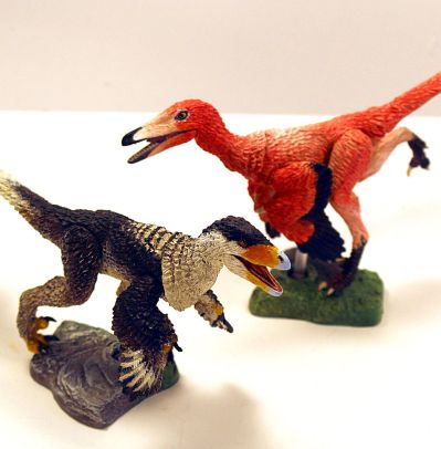 西方2件装-冈氏鹫盗龙和幼年不等细爪龙- 1/6可动玩偶