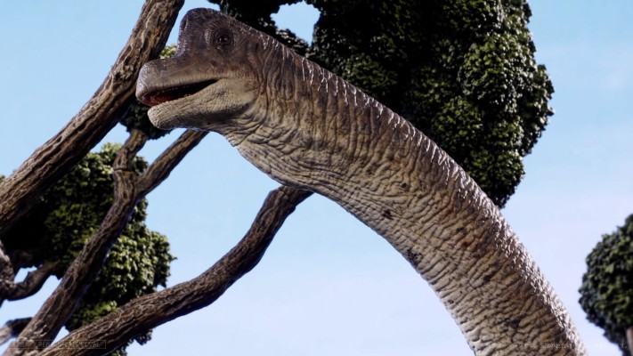 腕龙（Brachiosaurus）