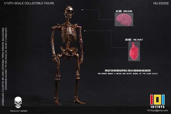 骷髅骨架素体 限定黄金版/玫瑰金版
