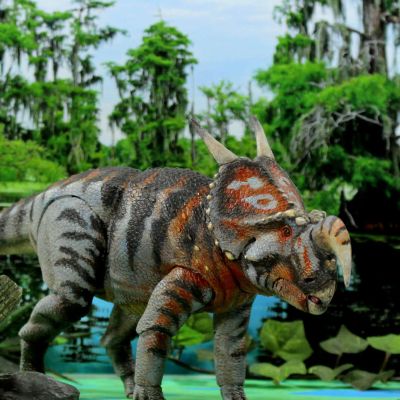 前弯角野牛龙– 1/18可动玩偶