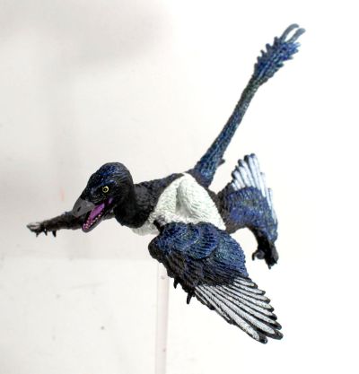 东方2件装- 顾氏小盗龙和鹰嘴单爪龙- 1/6可动玩偶