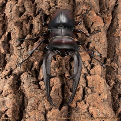 生物大图鉴Premium 巨颚叉角锹形虫（红色）