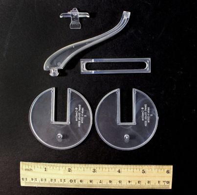 兽脚类恐龙展示架