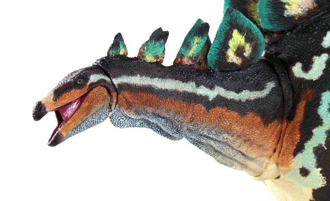 狭脸剑龙- 1/18可动玩偶