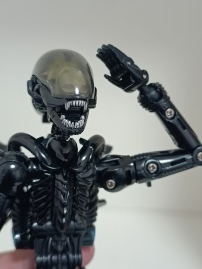 52TOYS 猛兽匣 IB13 异形