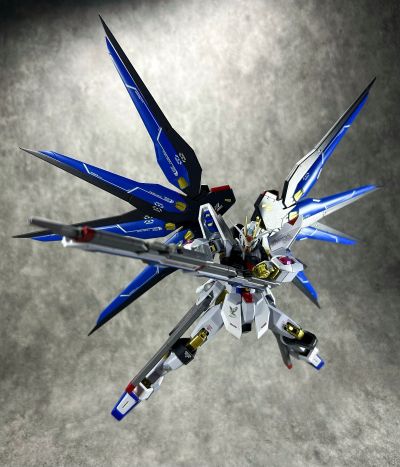 METAL ROBOT魂 ＜机动战士系列＞ 强袭自由高达 [Re:Coordinate]