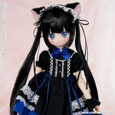 POD056-MGK Colorful Dreamin'/芽生 ～M.K.的礼物～(黑猫)