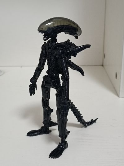 52TOYS 猛兽匣 IB13 异形