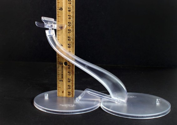 兽脚类恐龙展示架