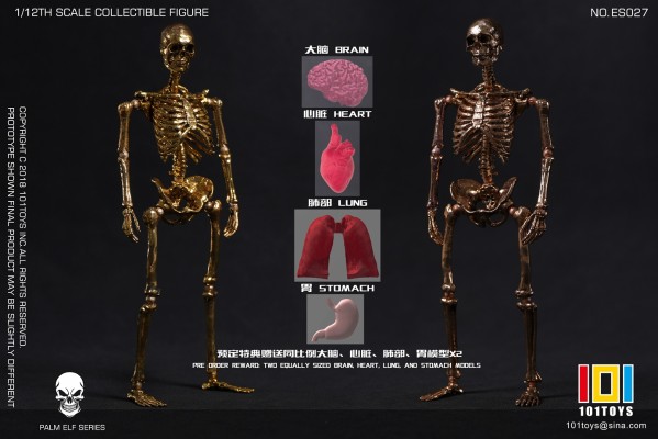 骷髅骨架素体 限定黄金版/玫瑰金版