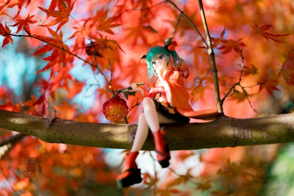 压泡面 初音未来 花仙子 酸浆果