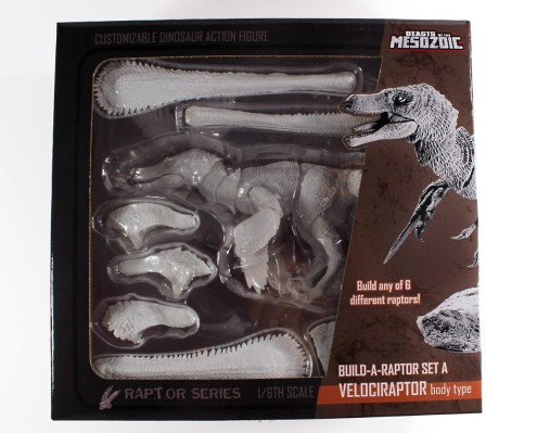 恐龙组装套装A：迅猛龙 – 1/6可动套装