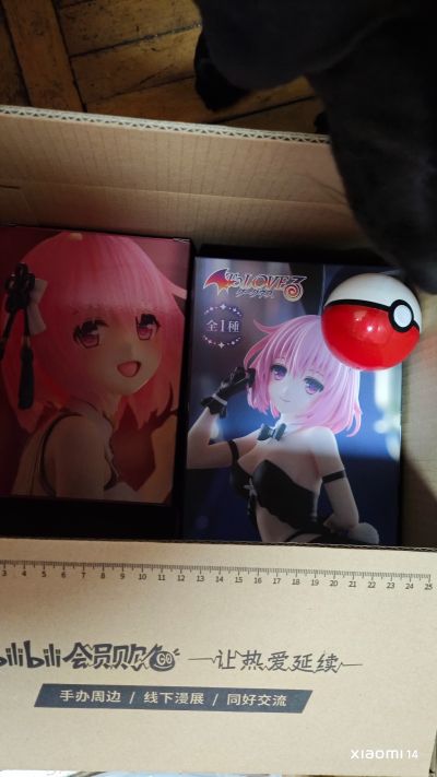 BiCute Bunnies 出包王女DARKNESS 梦梦·贝莉雅·戴比路克