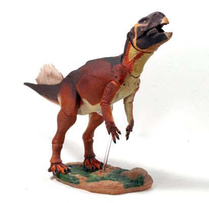 蒙古鹦鹉嘴龙 1/6可动玩偶