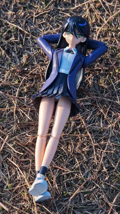 Figure-rise Standard  尼娅安