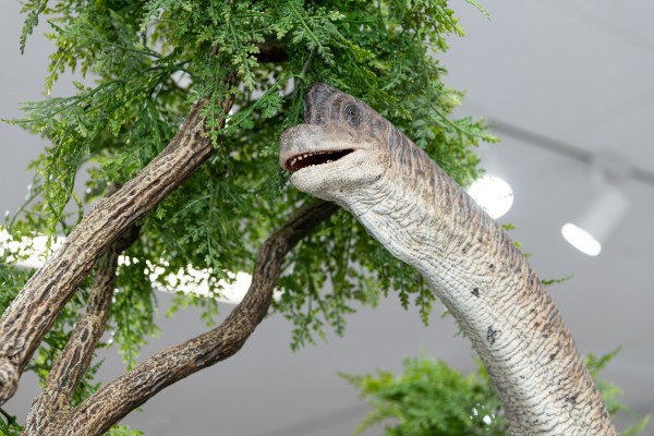 食肉牛龙（Carnotaurus）