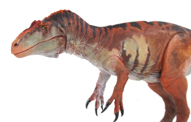 詹氏异特龙– 1/35可动玩偶