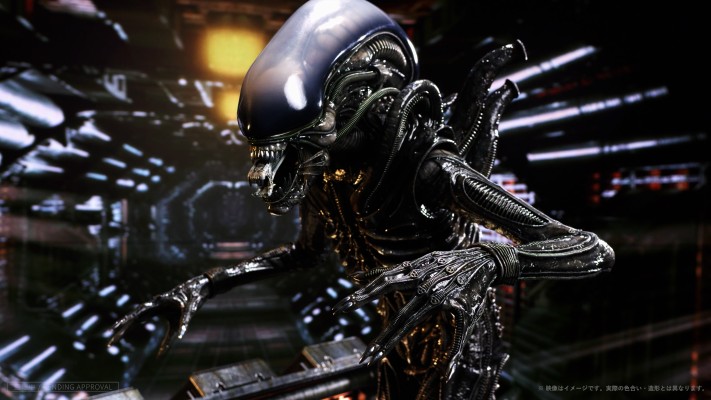 Big Chap 异形（Xenomorph）