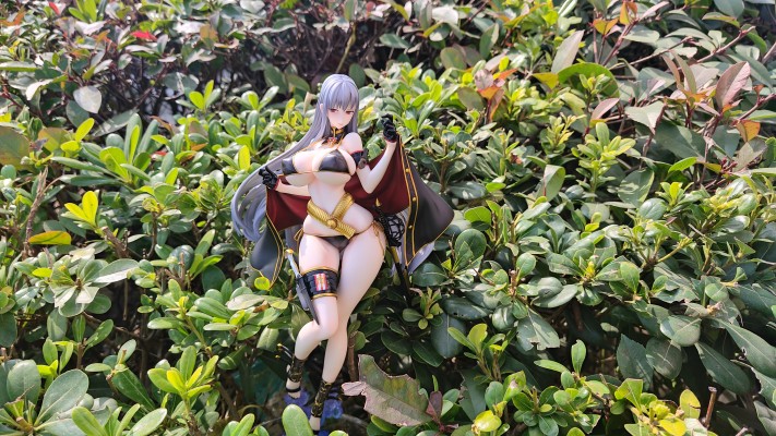 战场女武神 塞露贝利亚·布蕾斯 泳装