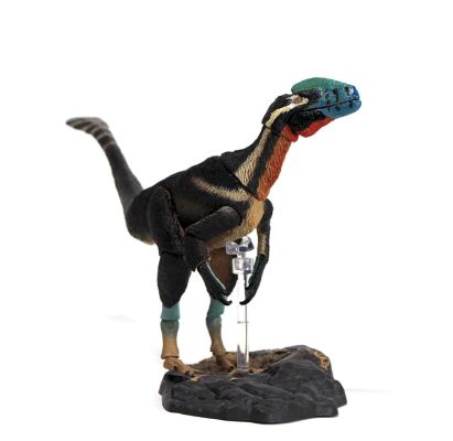 五彩冠龙 – 1/18可动玩偶