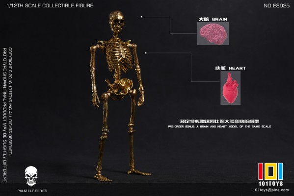 骷髅骨架素体 限定黄金版/玫瑰金版