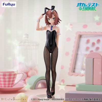BiCute Bunnies 笨蛋，测验，召唤兽 木下秀吉