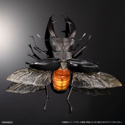 生物大图鉴Premium 巨颚叉角锹形虫（黑色）