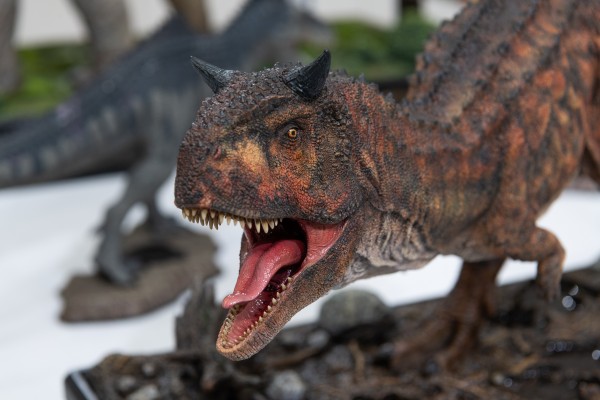 食肉牛龙（Carnotaurus）