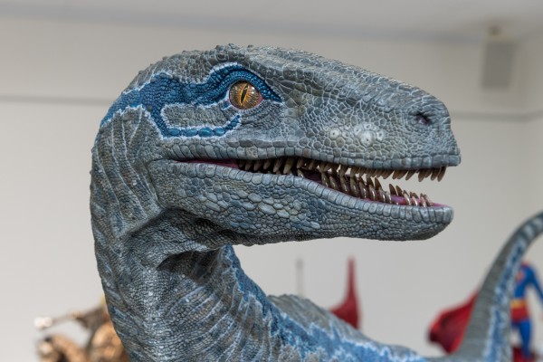 遗产博物馆Collection 侏罗纪世界：失落王国 小蓝